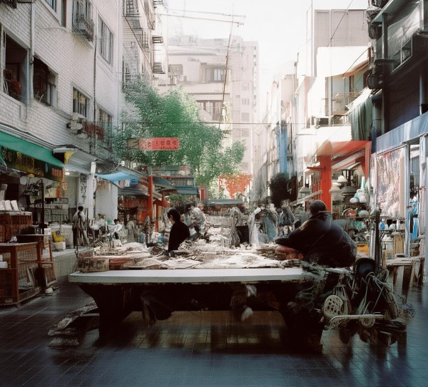中医大数据库开发的挑战与机遇，深度解析其复杂性和潜在价值