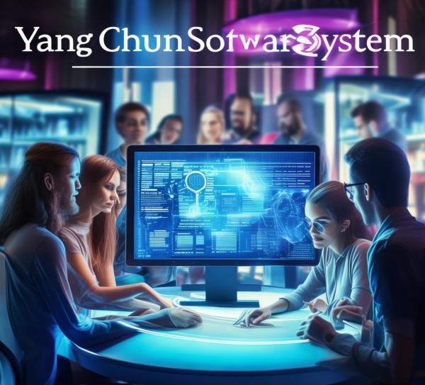 阳春软件系统，定制开发的优势与魅力